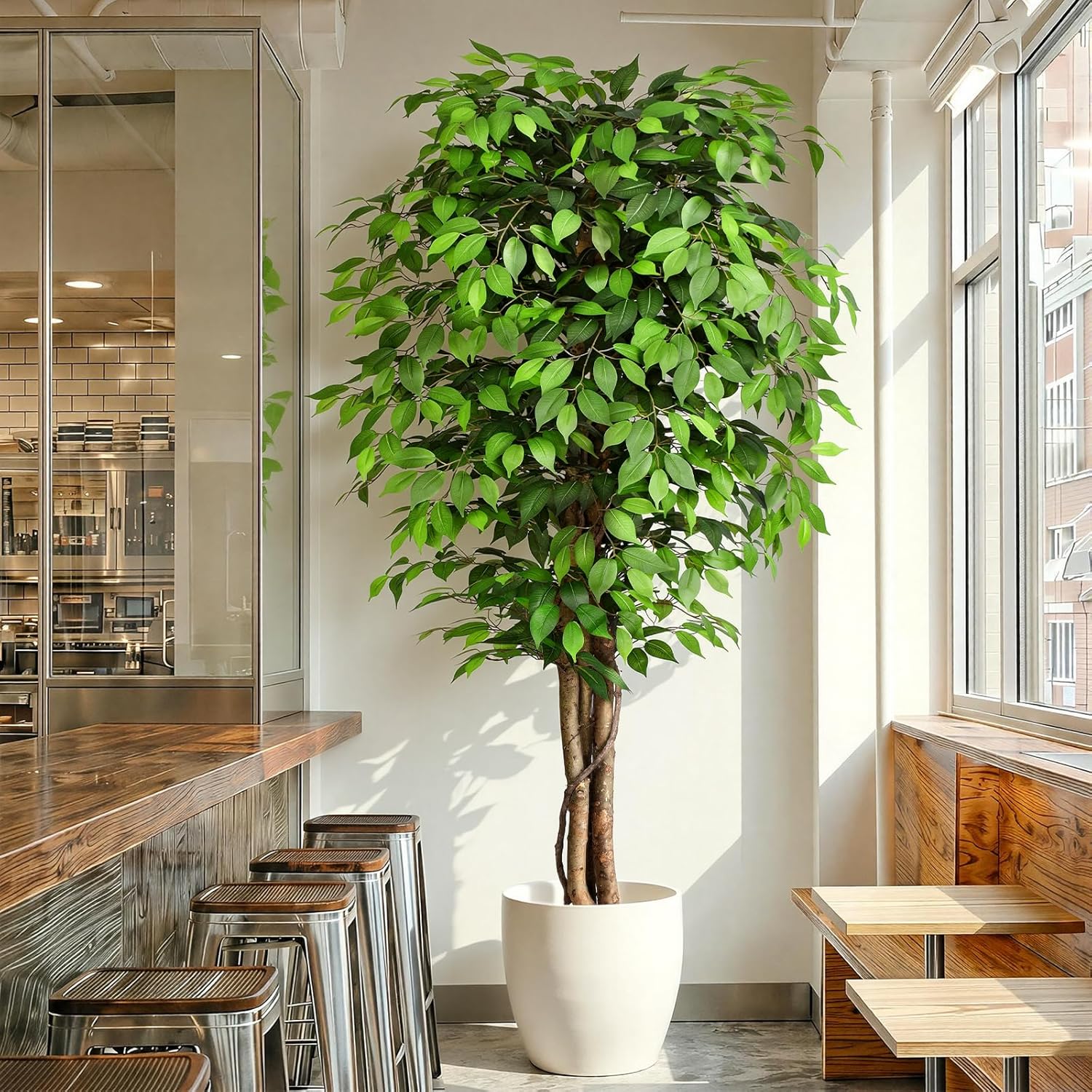 Dracaena Marginata - Lebensechter Künstlicher Ficus-Baum mit Natürlichem Stamm
