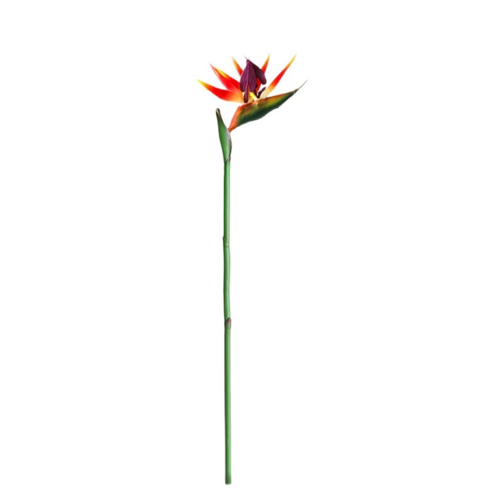 Künstliche Strelitzia mit Lang – Bird Paradise Strelitzia Bewertung und Preis
