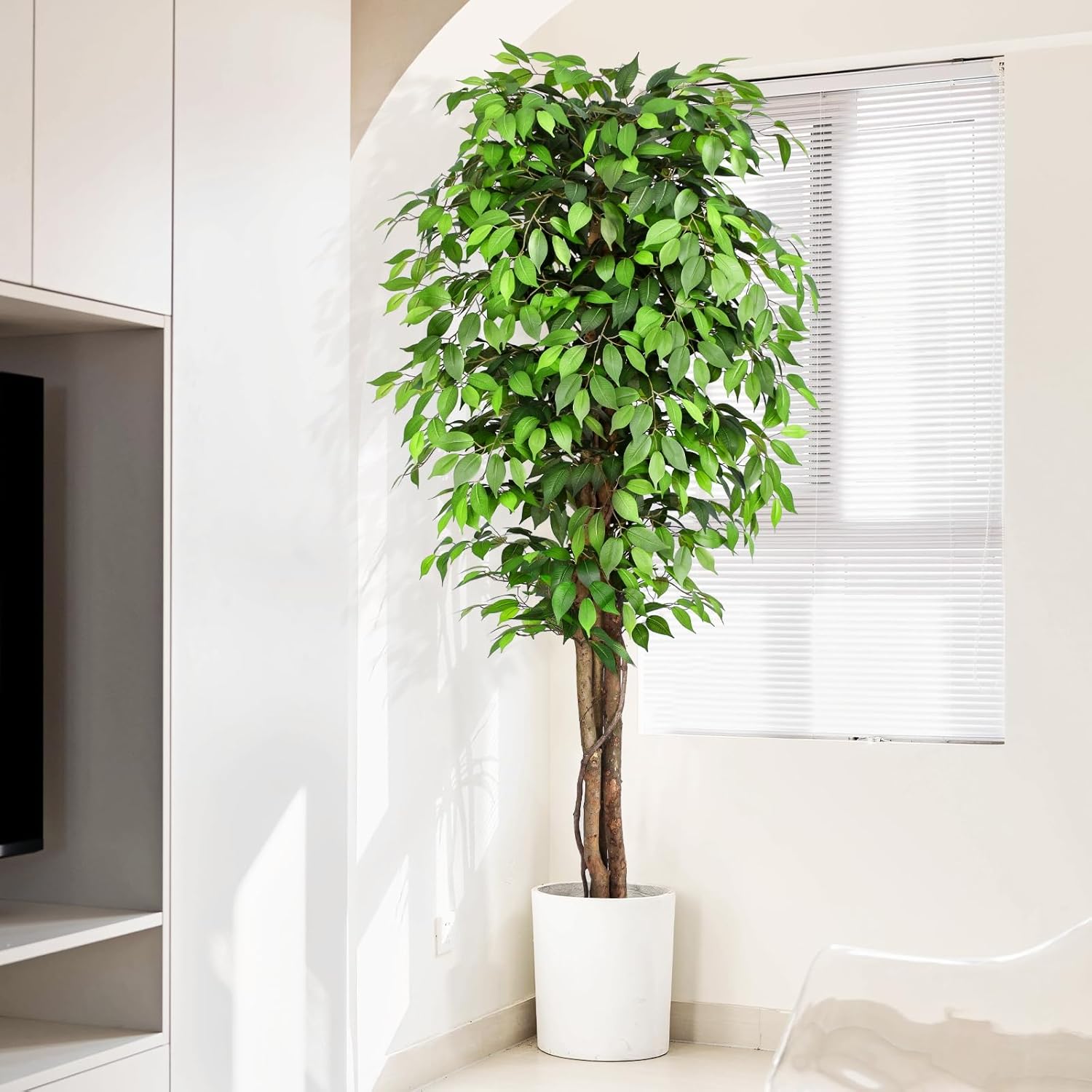 Lebensechter Künstlicher Ficus – Dracaena Marginata Bewertung und Preis