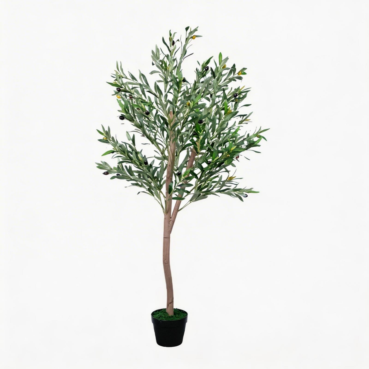 Künstlicher Olivenbaum 1,5m, K – Dracaena Marginata Bewertung und Preis