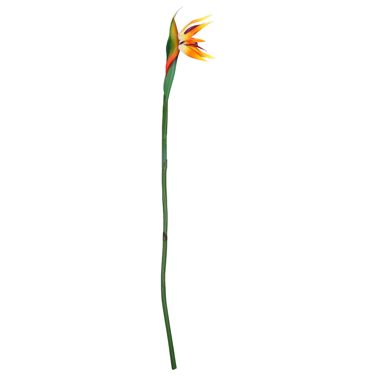 Künstliche Strelitzia-Blume mi – Bird Paradise Strelitzia Bewertung und Preis