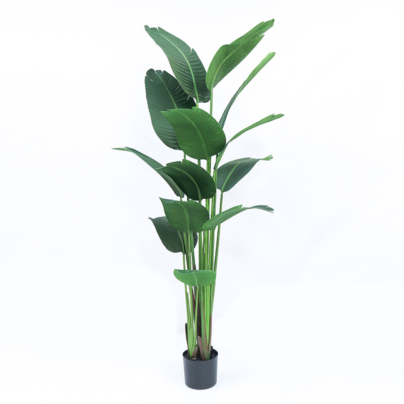 Künstlicher Kunststofftopf ​ P – Bird Paradise Strelitzia Bewertung und Preis