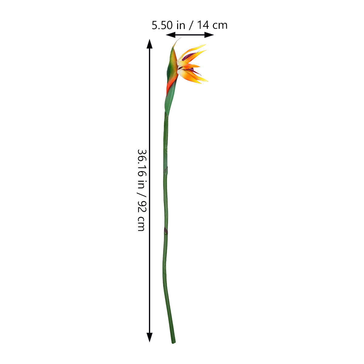 Künstliche Strelitzie-Blume (P – Bird Paradise Strelitzia Bewertung und Preis
