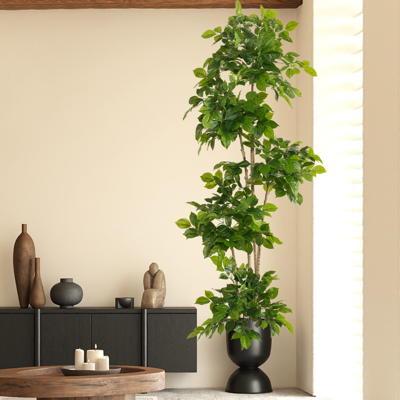 2-78 Zoll große gefälschte Pfl – Dracaena Marginata Bewertung und Preis