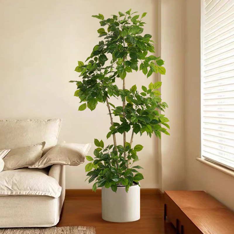 2-78 Zoll große gefälschte Pfl – Dracaena Marginata Bewertung und Preis