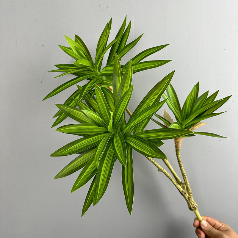 Simulierte Grünpflanzen mit 3  – Dracaena Marginata Bewertung und Preis